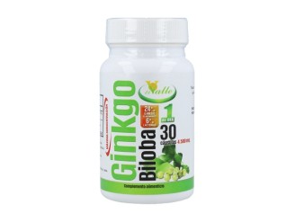 Ginkgo Biloba