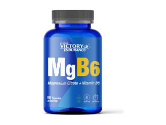 Victory endurance magnesio y vitamina B6