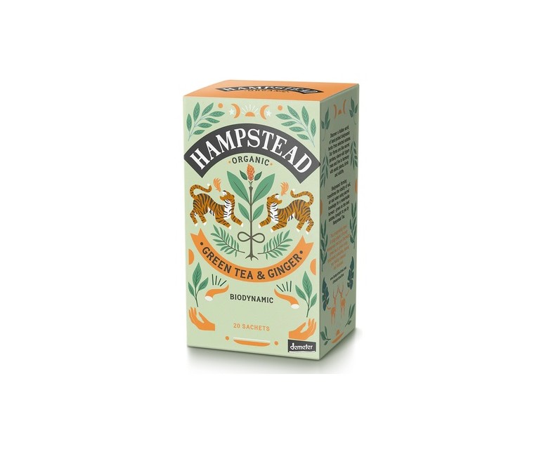 Té jengibre verde 20 bolsitas infusoras HAMPSTEAD