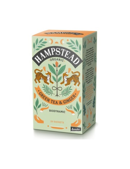 Té jengibre verde 20 bolsitas infusoras HAMPSTEAD
