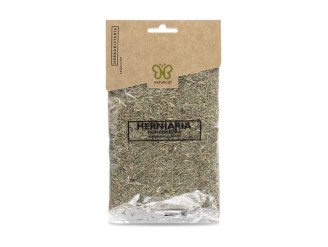 Herniaria planta