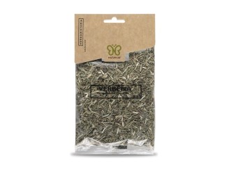Verbena planta