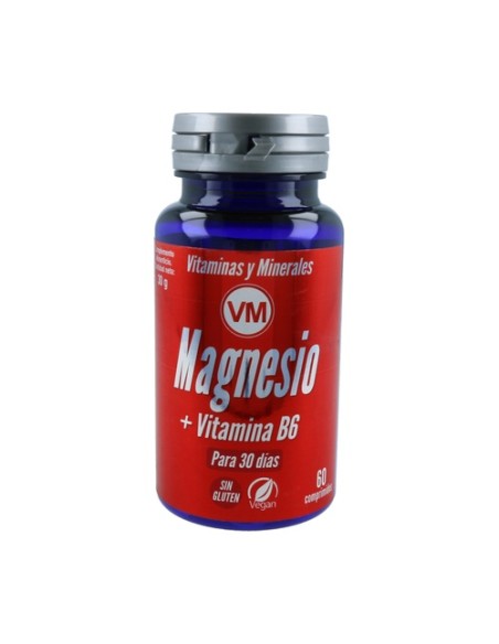Magnesio y Vitamina B6 60 comprimidos Ynsadiet