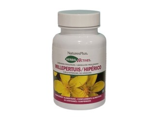 Millepertuis