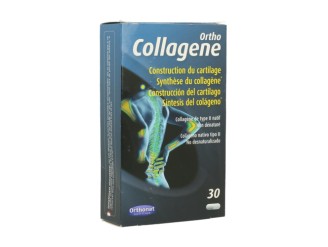 Ortho colágeno construcción del cartílago