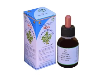 Msa Olea Europea