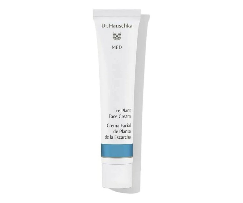 Med crema facial planta de la escarcha 40 ml Dr. Hauschka