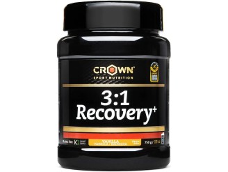 3:1 Recovery+ Vainilla