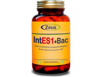 Intes+bac - Zeus