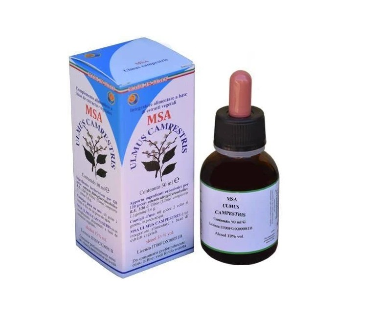 Msa Ulmus Capestris yemas olmo 50 ml HERBOPLANET