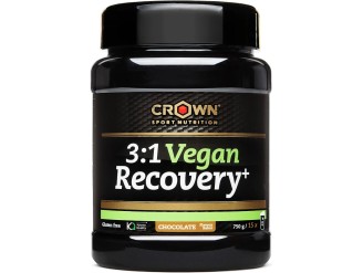 3:1 Vegan Recovery+ Choc