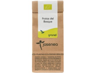 Frutas del bosque