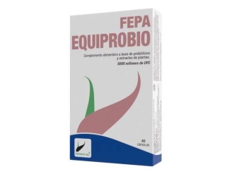 Fepa-equiprobio