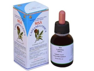 Msa castanea vesca yemas