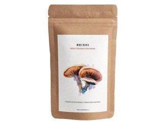Reishi polvo eco
