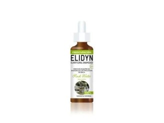 Willow - Elidyn