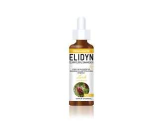 Larch - Elidyn