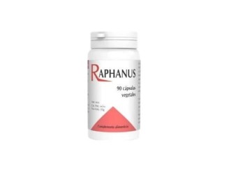 Raphanus