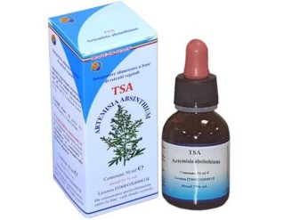 Tsa Artemisa Absinthium sumidades floridas