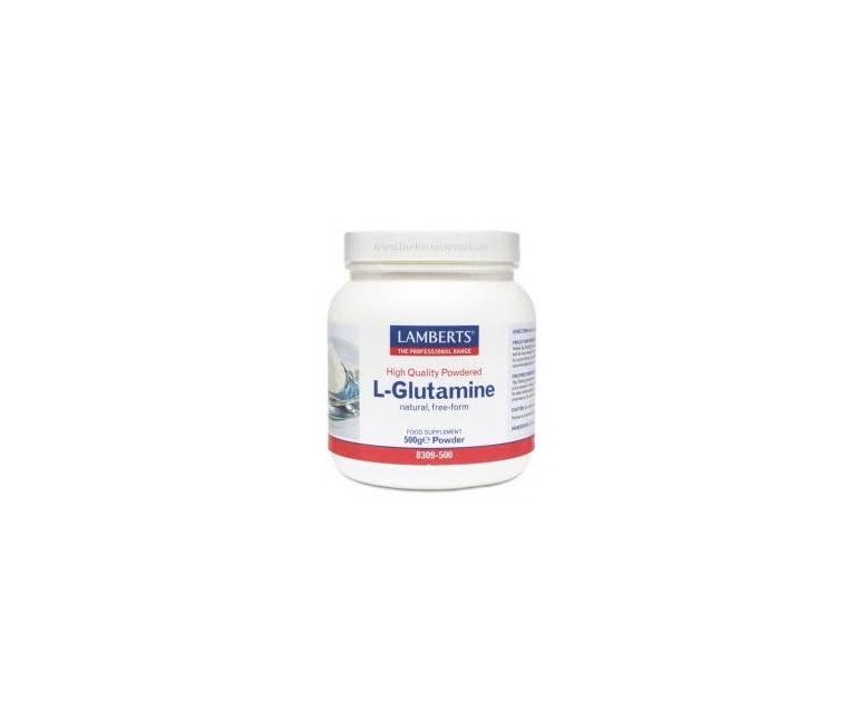 L-glutamina polvo 500 gr Lamberts
