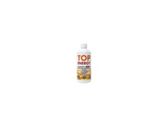 Top energy sabor limón