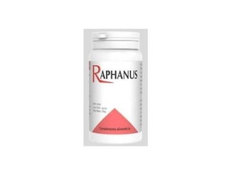 Raphanus - Codival