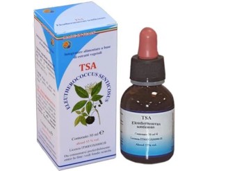 Tsa Eleutherococcus senticosus raíz