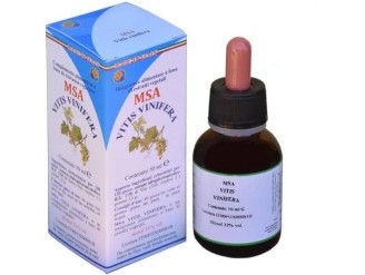 Msa Vitis Vinifera Brotes Jóvenes