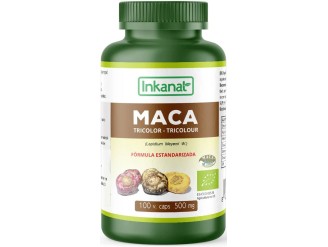 Maca tricolor bio