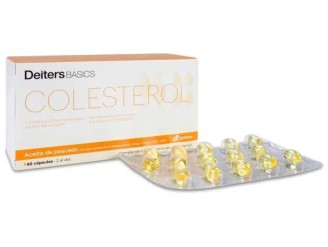 Basics colesterol