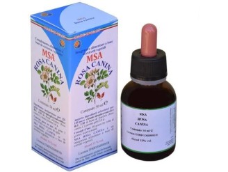 Msa rosa canina jóvenes brotes agavanzo