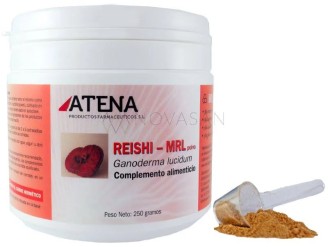 Reishi-ganoderma-mrl en polvo