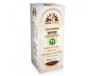 Gayuba uva ursina extracto fitomater