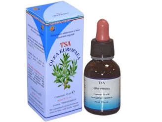 Tsa Olea Europea hojas