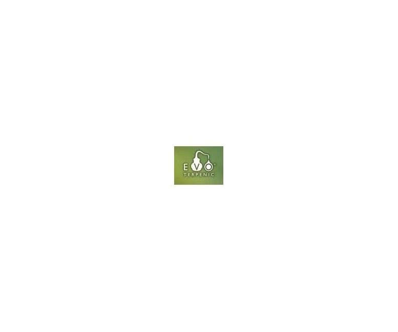 Relax zen aceite masaje 100 ml Terpenic