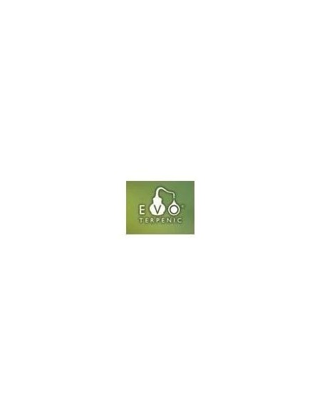 Relax zen aceite masaje 100 ml Terpenic