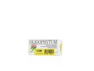 Oligophytum cobalto
