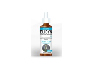 Water violet - Elidyn