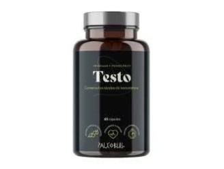 Testo - Paleobull