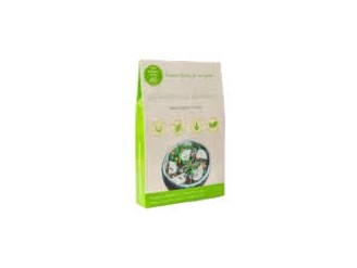 Espaguetis de albahaca de konjac sg vegan