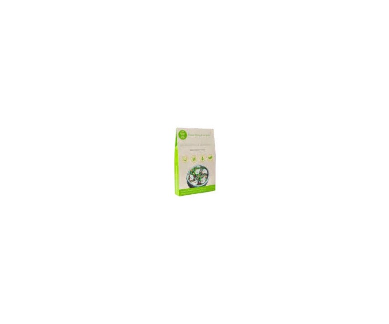 Espaguetis de albahaca de konjac sg vegan 200 gr The Konjac Shop