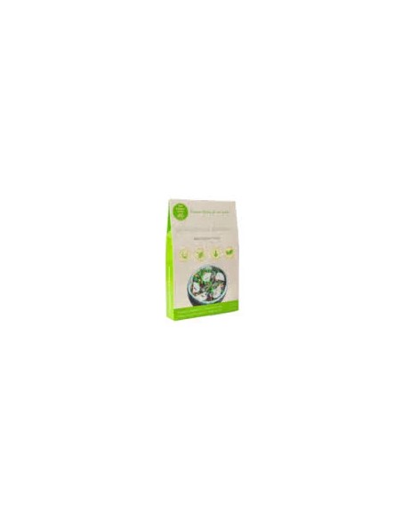 Espaguetis de albahaca de konjac sg vegan 200 gr The Konjac Shop
