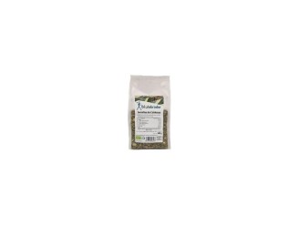 Pipas de calabaza