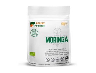Moringa Eco