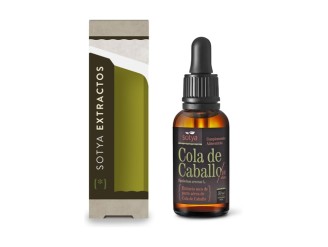 Cola de Caballo