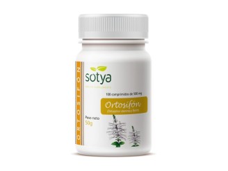 Ortosifón, Té de Java