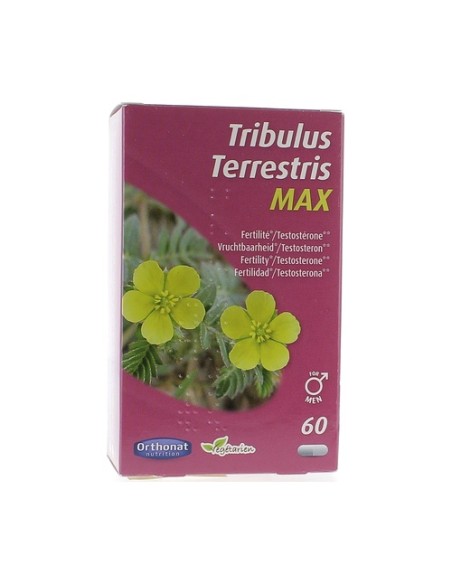 Tribulus 650 mg 60 cápsulas Orthonat