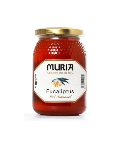 Miel De Eucalipto 500 g Muria