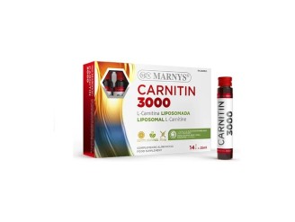 L-Carnitina 3000