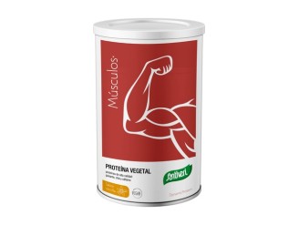 Dynamic proteína vegetal de vainilla
